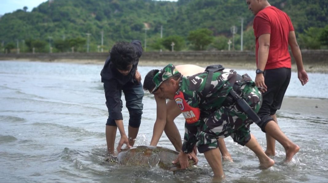 WhatsApp Image 2022-10-18 at 19.23.20