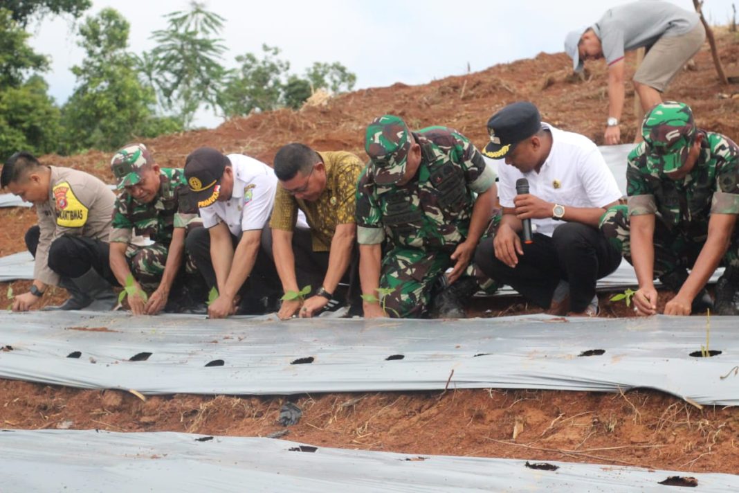 WhatsApp Image 2023-02-01 at 05.42.15 (1)