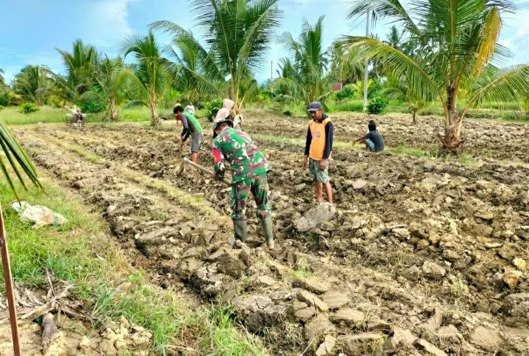 WhatsApp Image 2023-02-07 at 19.39.07