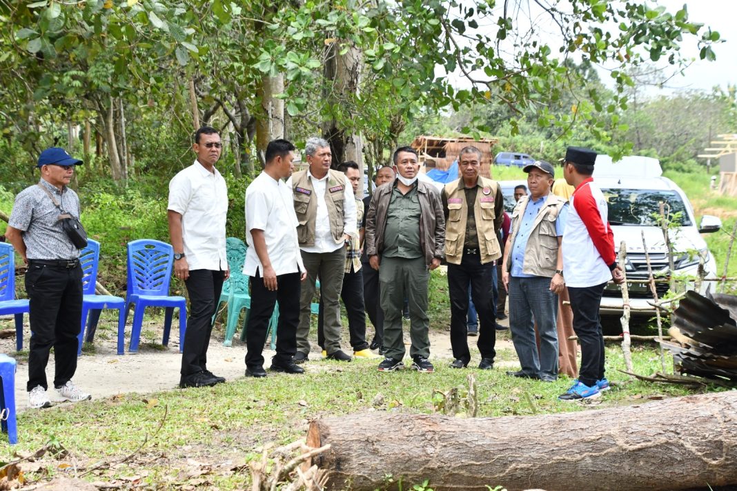 WhatsApp Image 2023-03-20 at 01.29.53 (1)